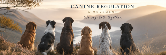 What is the Canine Regulation Project?